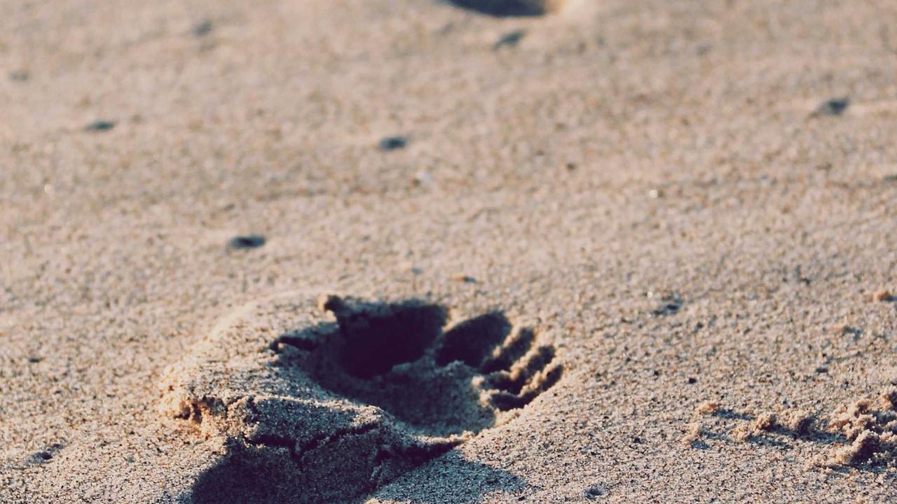 2026 Turizm Trendleri: Geleceğin Seyahat Deneyimleri Bizi Nereye Götürüyor?