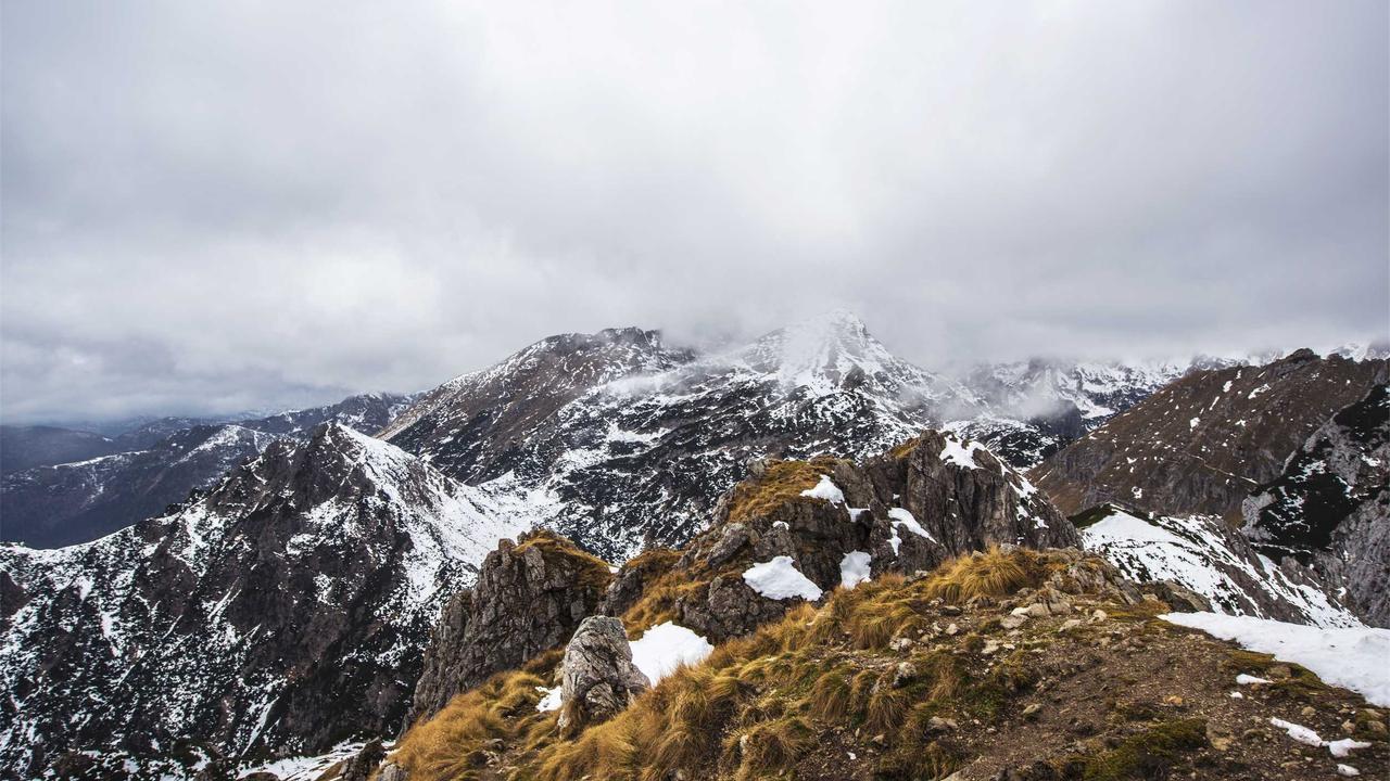 Karadeniz'in Saklı Cennetleri: Yayla Turları Rehberi